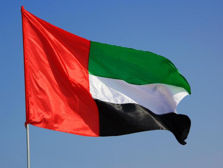 UAE export customs clearance international freight forwarder service company