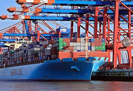 How does international freight forwarder ship goods from Shenzhen port to UAE