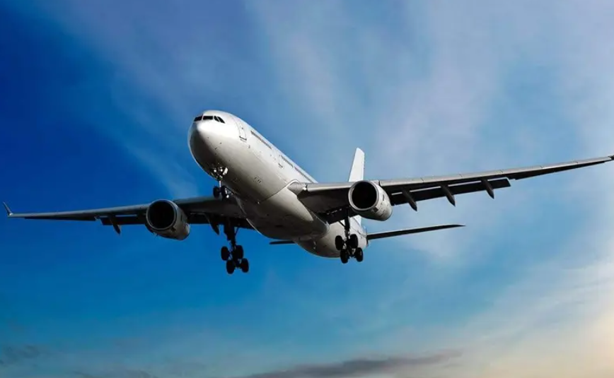 What is a Freightforwarder and what are his prospects?